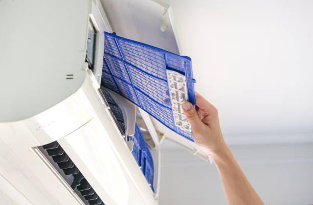 Best Air Duct Cleaning Company Near Me  in Lafayette, CO