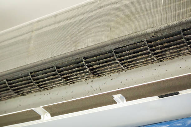 Best Affordable Air Duct Cleaning  in Lafayette, CO